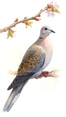 Fototapeta premium A bird perched on a blossoming branch