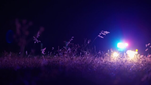 Police car with emergency lights flashing in the background while camera focuses on foreground grass and wildflowers. The vehicle remains in soft defocus creating dramatic nighttime scene