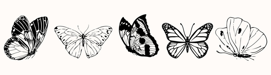 Illustration of five butterflies in black and white. Each butterfly features unique patterns. Butterflies are shown in a simple, elegant style. Animal illustrations, isolated element vector set. © Rawpixel.com