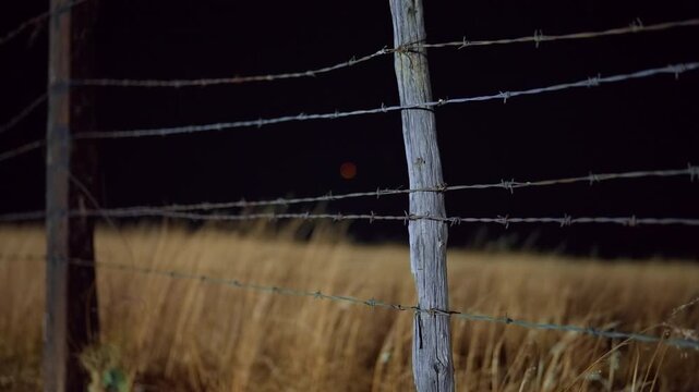 Weathered wooden fence post with barbed wire strands against dark night sky. Golden dry grass sways gently in the background creating a moody rural farmland atmosphere scene.