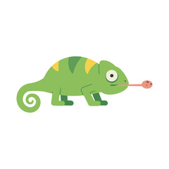 Obraz premium Green chameleon in flat vector style, side view with curled tail and extended tongue catching prey, simple shapes and soft colors on a isolated background