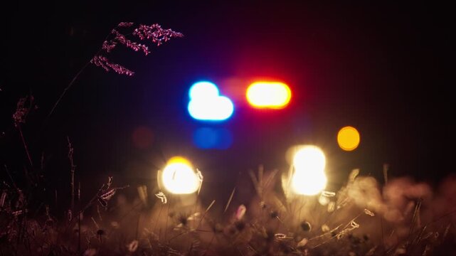 Police car with emergency lights flashing in the background at night. Focus on foreground grass and wildflowers while vehicle remains in soft defocus creating bokeh effect