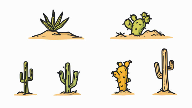 Four desert plants, cacti, and desert flora illustrations in a simple, minimalist style with a white background
