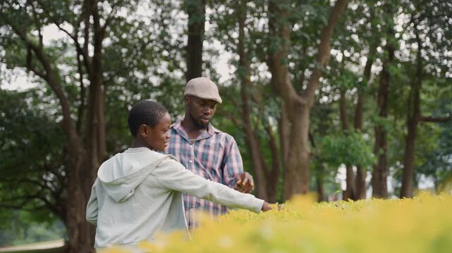 Father guides son exploring plants. Father illustrating plant identification to attentive son during park visit. Father educates young son about different plant species in peaceful park setting