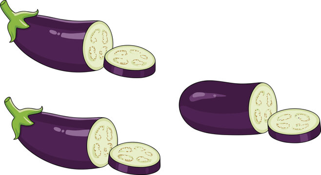 Vector illustration of eggplants with slices showing interior texture and seed patterns