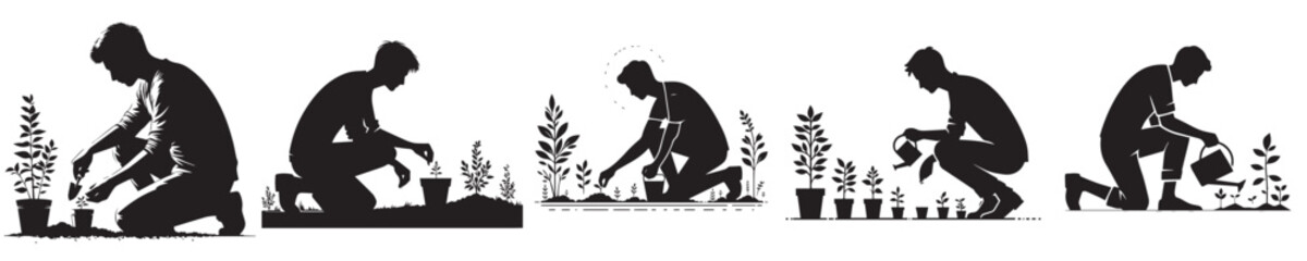 Fototapeta premium vector young man planting plant silhouette