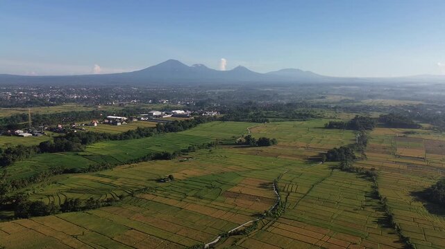 tunning Aerial View of Rice Fields with Mountain Range at Sunrise - 4K, Mount Batukaru, mount batukau
