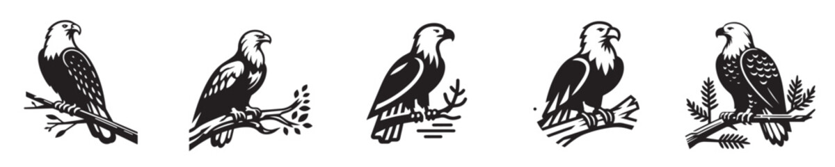 Fototapeta premium silhouette style eagle vector perched on a branch