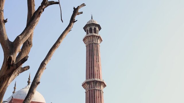New Delhi, India 11-04-2026:- jama masid tomb low angle view 