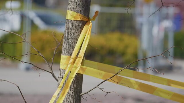 Yellow awareness ribbon tied around young tree trunk in urban street suggesting remembrance support and hope