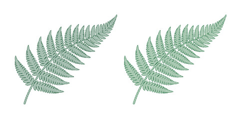 Minimalist green fern leaf vector illustration, botanical silver fern frond set, elegant tropical foliage elements for wedding stationery and nature branding © Caleb