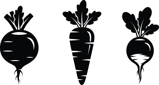Black silhouette of beet carrot and turnip vegetables on white background beet carrot turnip root vegetable