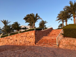 Morze czerwone, Egipt ت غالب,  © Maciej G. Szling