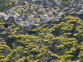 Morze czerwone, Egipt ت غالب,  © Maciej G. Szling