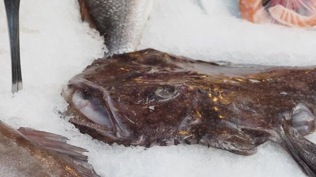 Fresh fish catch in market on a busy morning