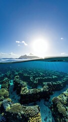 Obraz premium Serene Underwater Scene with Coral Reef Beneath Bright Sky