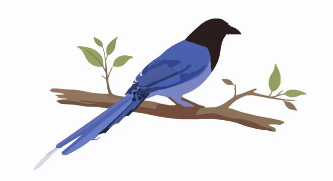 Taiwan blue magpie group vector forest scene social endemic bird wildlife decorative illustration