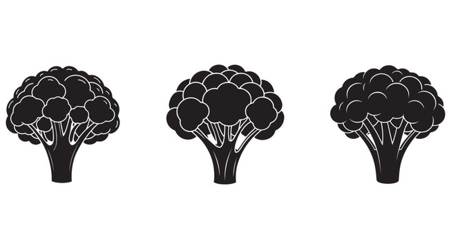 Black and white illustrations of broccoli side view with white outline  three different silhouettes of cauliflower with thick stems and dense florets