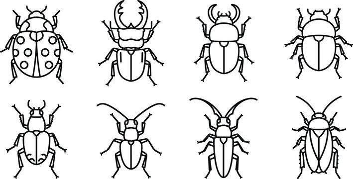 Beetle Icon Set, Featuring Different Species in Minimalist Line Art Style for Insect and Nature Themes