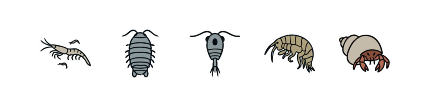 Small Crustaceans and Marine Biology Icon Set with Woodlouse Plankton and Hermit Crab