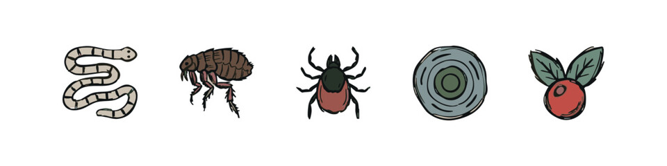 Fototapeta premium Hand Drawn Biological Icons Set with Worm Flea Tick and Superfood Berry