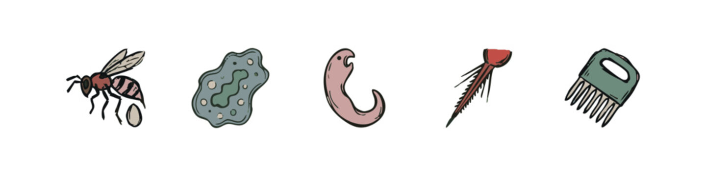 Set of Hand Drawn Microscopic and Biological Icons Including Amoeba Larva and Bee Egg