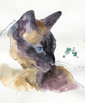 Watercolor painting of a Siamese cat on white paper texture