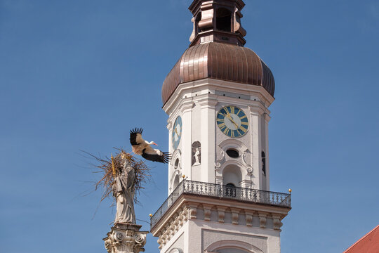Two white storks are building a nest on the historic Marian column in the old town of Freising