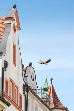 Two white storks are building a nest on the historic Marian column in the old town of Freising