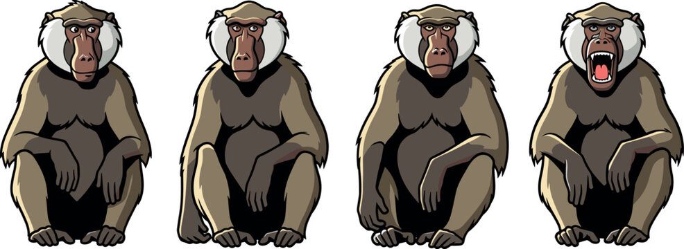 Baboon monkey character vector set showing different facial expressions, sitting poses and emotions isolated wildlife illustration collection