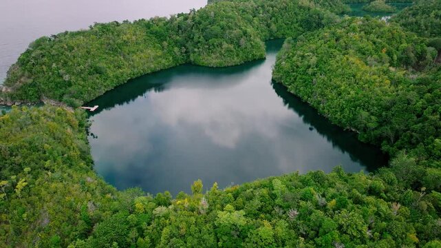 Jelly fish Lake Togean Island Indonesia Crystal Clear Water Drone Shot with Unique Marine Life