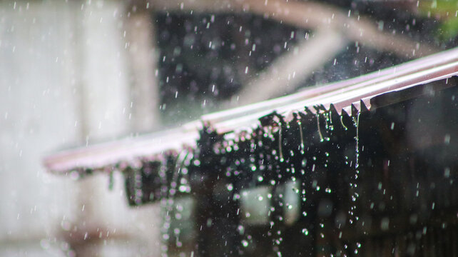 Detailed close-up of raindrops on a corrugated metal roof surface. Macro shot showing water droplets on a gray zinc rooftop during a heavy rain shower.
