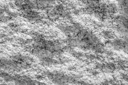 Close up of black and white weathered granite surface texture. Intrusive igneous rock