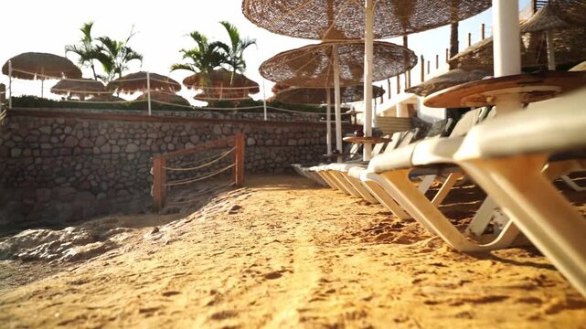Sunlit beach with empty loungers and straw umbrellas. Coastal stone wall lines the sandy shore. Palm trees sway gently behind the barrier. Sunny day invites calm relaxation and sunbathing