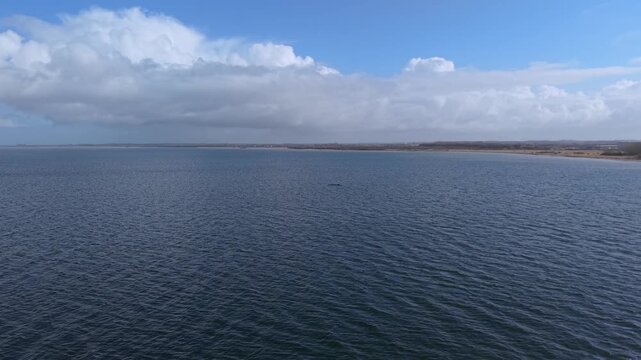 wal, wismar, wal in wismar, wismarer bucht, wal hope, wal timmi, fisch, big