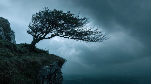 bent. Solitary tree on cliff edge during a fierce storm. travel magazines, destination branding, wall prints, designed for travel destination branding, used by chefs, elevates destination branding.