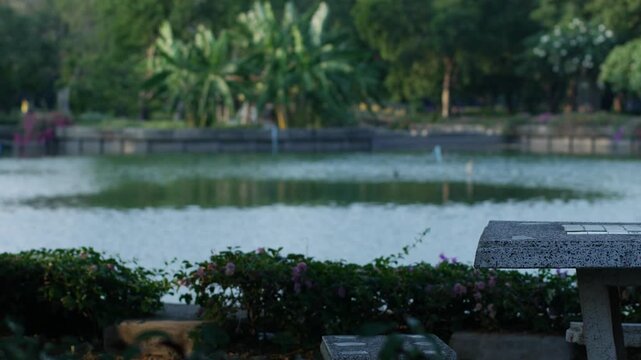 Stone concrete terrazzo table and bench set in a public park beside a green lake with pink bougainvillea flowers in bokeh