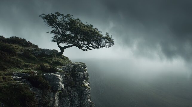 bent. Solitary tree on cliff edge during a fierce storm. travel magazines, destination branding, wall prints, designed for travel destination branding, used by chefs, elevates destination branding.