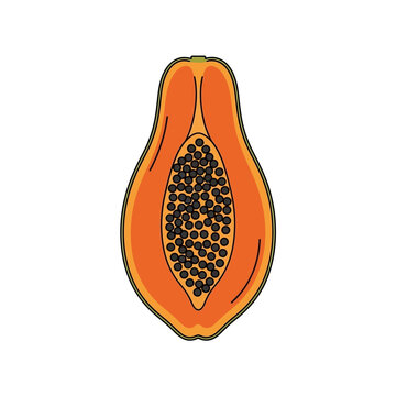 Freshly cut papaya fruit with seeds, isolated on white background.
