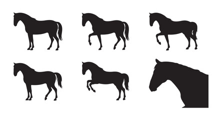 Standing horse silhouettes and profile portrait showing different poses for equestrian industry and design. © Labib