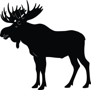 Moose silhouette vector illustration of wild antlered animal isolated black forest wildlife design element for nature and hunting themes