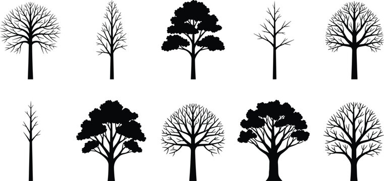 Tree silhouettes collection featuring leafless and leafy trees isolated black vector illustration set for nature landscape and environmental design use
