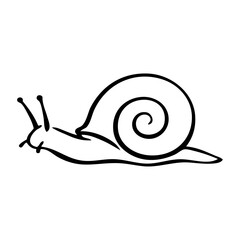 Logotipo con dibujo minimalista con líneas de un caracol visto de perfil  © teracreonte