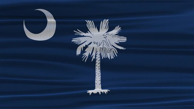 South Carolina flag waving in the wind with high quality fabric texture