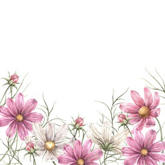 A floral frame of pink cosmos arranged at the bottom. A square botanical arrangement with pink flowers for greeting cards, wedding decorations, invitations, packaging, and floristry © ValentinaSova