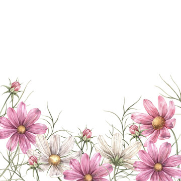 A floral frame of pink cosmos arranged at the bottom. A square botanical arrangement with pink flowers for greeting cards, wedding decorations, invitations, packaging, and floristry