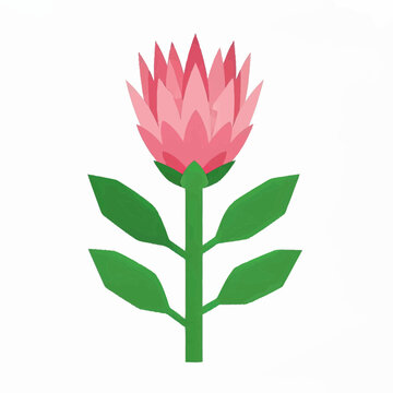 Pink Protea Flower Illustration Exotic Botanical Floral Design