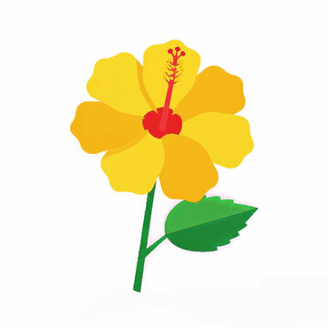 Yellow Hibiscus Flower Illustration Tropical Botanical Bloom