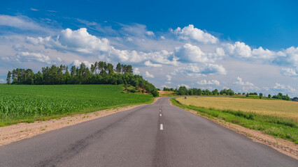 Fototapeta premium Winding Asphalt Road Through Summer Fields Under Blue Cloudy Sky with copy space