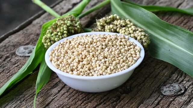 sorghum (broomcorn) seeds in plate on wooden table. whole seeds of sorghum close up